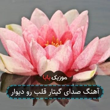 آهنگ صدای گیتار قلب رو دیوار