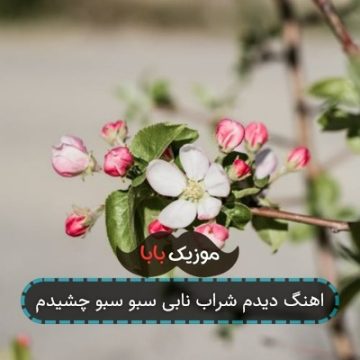 اهنگ دیدم شراب نابی سبو سبو چشیدم