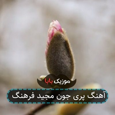 آهنگ پری جون مجید فرهنگ