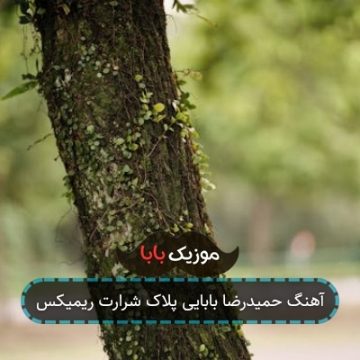 آهنگ حمیدرضا بابایی پلاک شرارت ریمیکس