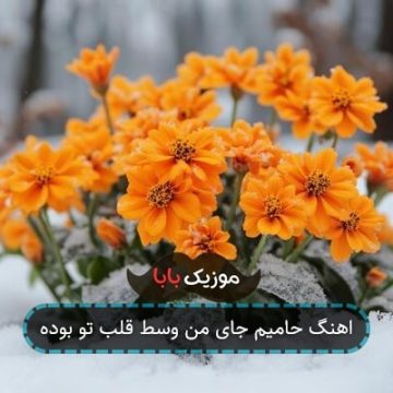 اهنگ حامیم جای من وسط قلب تو بوده