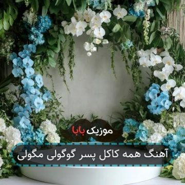 آهنگ همه کاکل پسر گوگولی مگولی