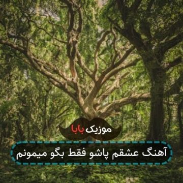 آهنگ عشقم پاشو فقط بگو میمونم