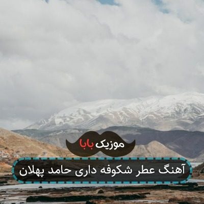 اهنگ عطر شکوفه داری مثل گل بهاری گروهی اهنگ عطر شکوفه داری مثل گل بهاری گروهی
