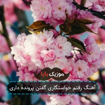 آهنگ اومدم خواستگاری گفتن سابقه داری