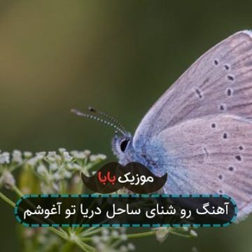 آهنگ رو شنای ساحل دریا تو آغوشم آهنگ رو شنای ساحل دریا تو آغوشم