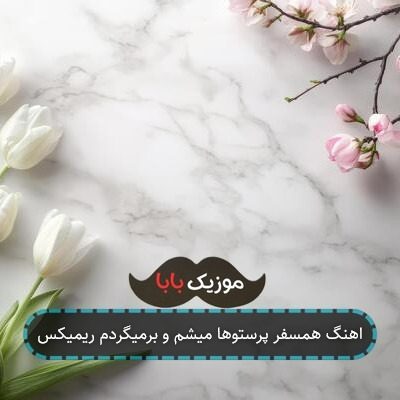 اهنگ همسفر پرستوها میشم و برمیگردم ریمیکس