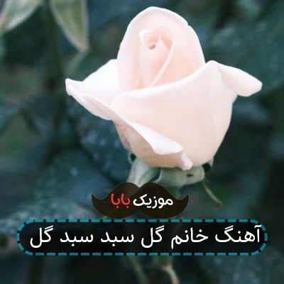 آهنگ خانم گل سبد سبد گل آهنگ خانم گل سبد سبد گل