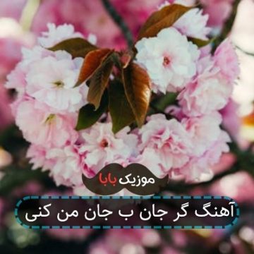 آهنگ گر جان ب جان من کنی