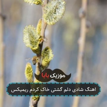 اهنگ شادی دلم گشتی خاک کردم ریمیکس اهنگ شادی دلم گشتی خاک کردم ریمیکس