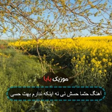 آهنگ حتما حسش نی نه اینکه ندارم بهت حسی