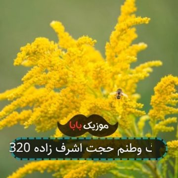 آهنگ وطنم حجت اشرف زاده 320