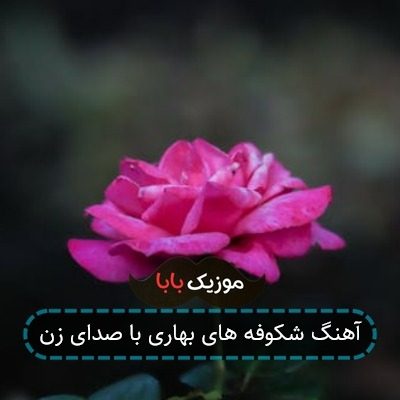 آهنگ شکوفه های بهاری با صدای زن