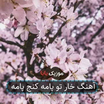 آهنگ خار تو پامه کنج پامه