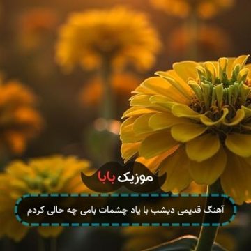آهنگ قدیمی دیشب با یاد چشمات بامی چه حالی کردم