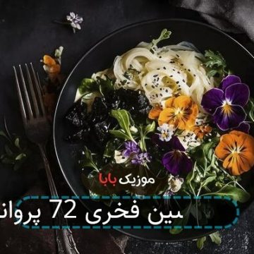 آهنگ حسین فخری 72 پروانه آهنگ حسین فخری 72 پروانه
