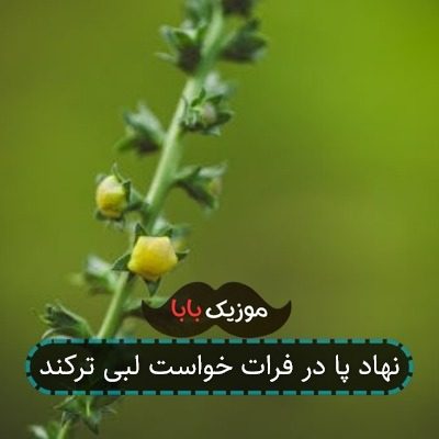 آهنگ علم افتاده و نیست علمدار حسین آهنگ علم افتاده و نیست علمدار حسین