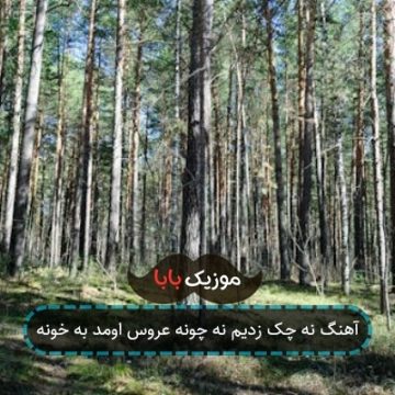 آهنگ نه چک زدیم نه چونه عروس اومد به خونه آهنگ نه چک زدیم نه چونه عروس اومد به خونه
