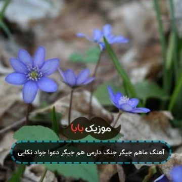 آهنگ ماهم جیگر جنگ دارمی هم جیگر دعوا جواد نکایی آهنگ ماهم جیگر جنگ دارمی هم جیگر دعوا جواد نکایی