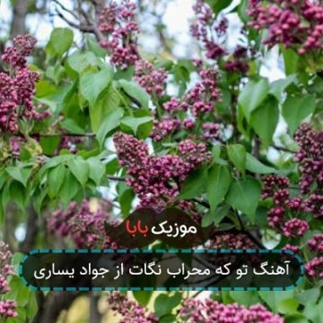 آهنگ تو که محراب نگات از جواد یساری آهنگ تو که محراب نگات از جواد یساری