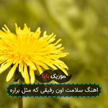 اهنگ سلامت اون رفیقی که مثل براره اهنگ سلامت اون رفیقی که مثل براره