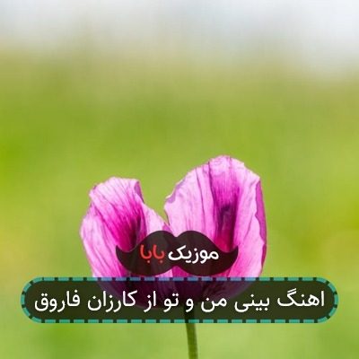 اهنگ بینی من و تو از کارزان فاروق