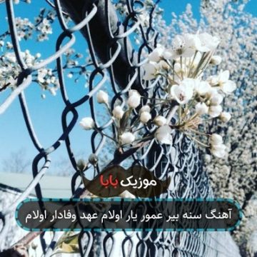 آهنگ سنه بیر عمور یار اولام عهد وفادار اولام