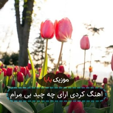 اهنگ کردی ارای چه چید بی مرام