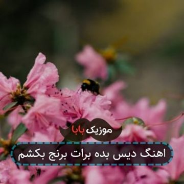 اهنگ دیس بده برات برنج بکشم