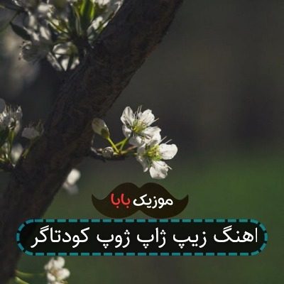 اهنگ زیپ ژاپ ژوپ کودتاگر