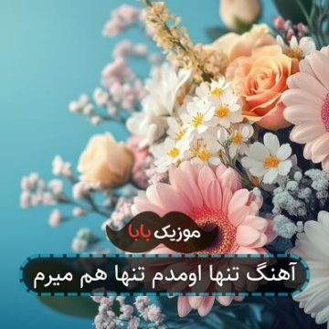 آهنگ تنها اومدم تنها هم میرم