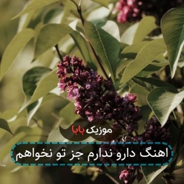 اهنگ دارو ندارم جز تو نخواهم