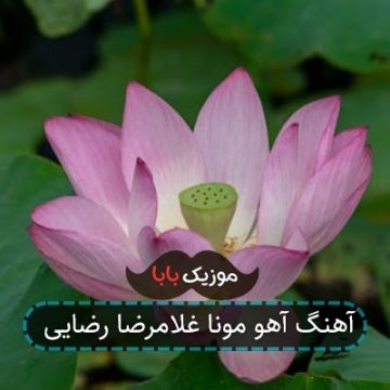 آهنگ آهو مونا غلامرضا رضایی