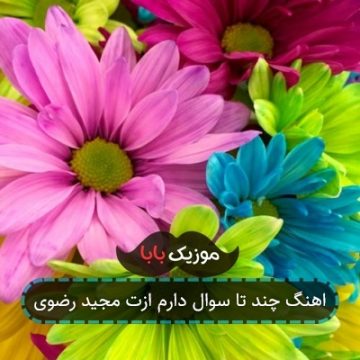 آهنگ مجید رضوی چند تا سوال دارم ازت