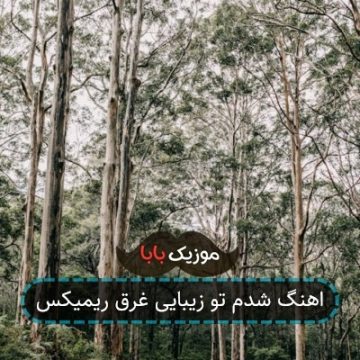 اهنگ شدم تو زیبایی غرق ریمیکس