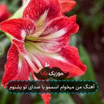 آهنگ من میخوام اسممو با صدای تو بشنوم