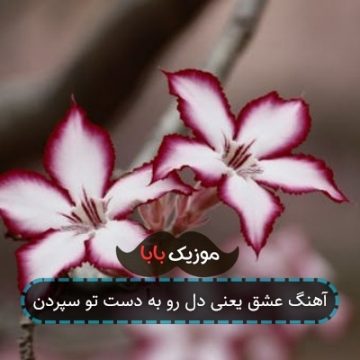 آهنگ عشق یعنی دل رو به دست تو سپردن آهنگ عشق یعنی دل رو به دست تو سپردن