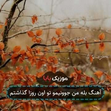 آهنگ بله من جوونیمو تو اون روزا گذاشتم