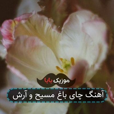 آهنگ چای باغ مسیح و آرش