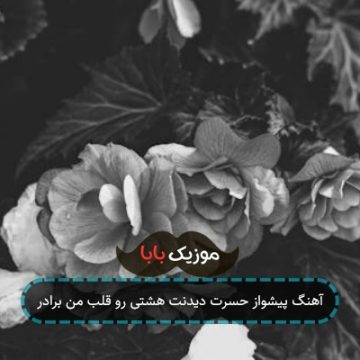 آهنگ پیشواز حسرت دیدنت هشتی رو قلب من برادر