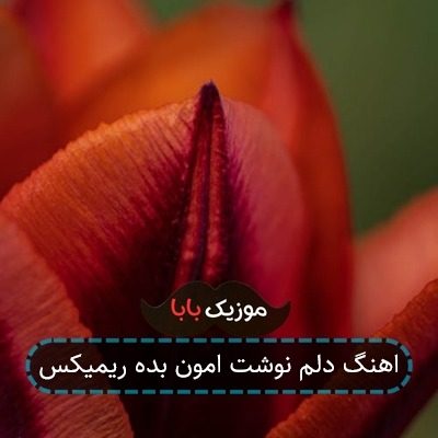 اهنگ دلم نوشت امون بده ریمیکس