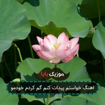 اهنگ خواستم پیدات کنم گم کردم خودمو