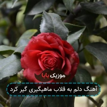 آهنگ دلم به قلاب ماهیگیری گیر کرد