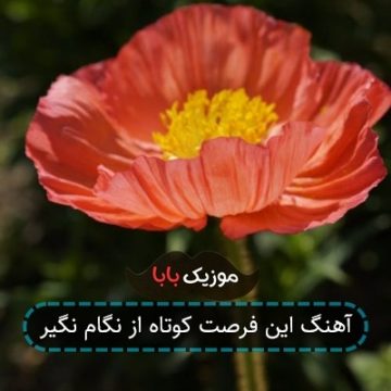 آهنگ این فرصت کوتاه از نگام نگیر