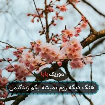 اهنگ دیگه روم نمیشه بگم زندگیمی