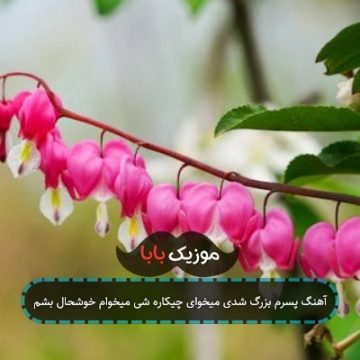 آهنگ پسرم بزرگ شدی میخوای چیکاره شی میخوام خوشحال بشم