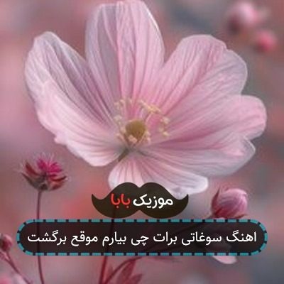 اهنگ سوغاتی برات چی بیارم موقع برگشت