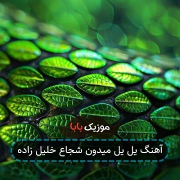 آهنگ یل یل میدون شجاع خلیل زاده