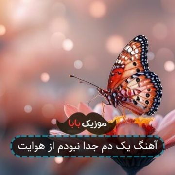 آهنگ یک دم جدا نبودم از هوایت آهنگ یک دم جدا نبودم از هوایت