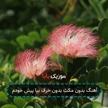 اهنگ میکنه گرم دل منو اتیش تو